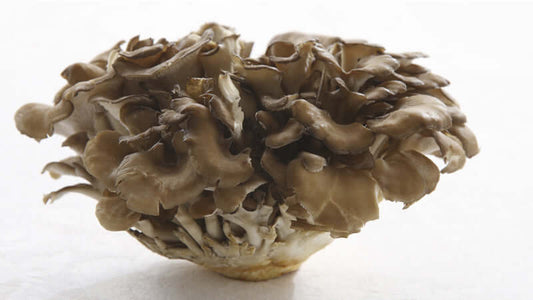 Close-up view of Maitake mushrooms displaying their unique, layered structure and brownish color.