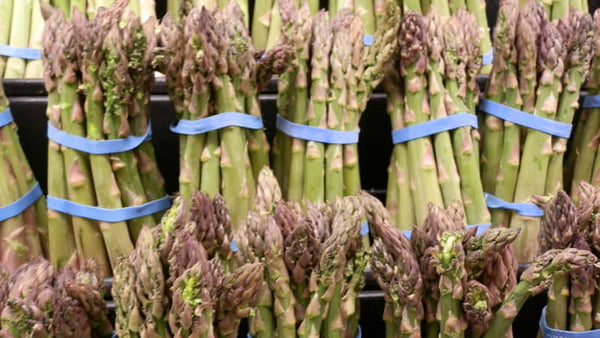 Food Is Becoming Less Nutritious
