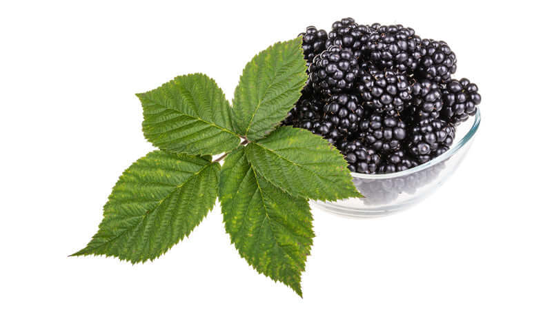 Fresh blackberries in a glass bowl with green leaves, showcasing the rich color and texture of blackberries.