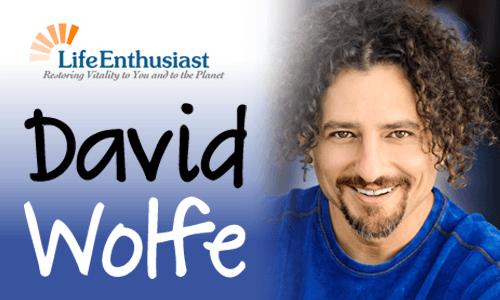 David Wolfe Interview with Life Enthusiast, promoting health and vitality.