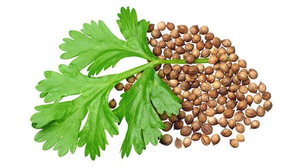 Cilantro Detox Recipes