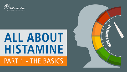 Infographic titled 'All About Histamine Part 1 - The Basics', relating to Histamine Basics.