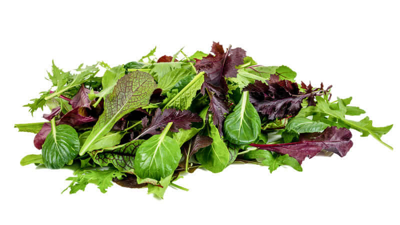 Fresh assortment of leafy greens showcasing various textures and colors, representing Green Foods.