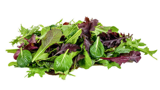 Fresh assortment of leafy greens showcasing various textures and colors, representing Green Foods.