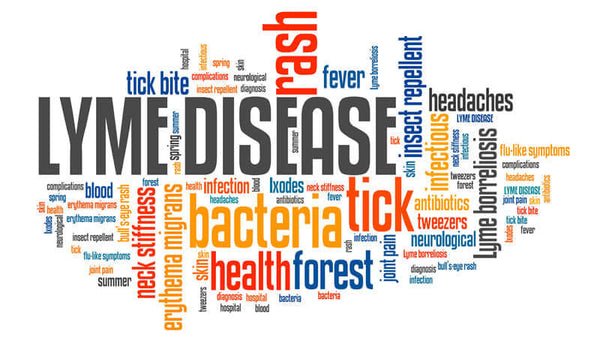 Lyme Disease: New Ideas