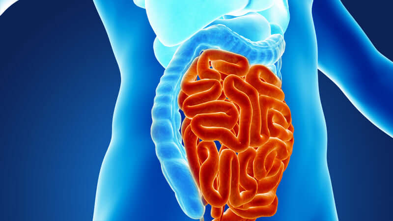 Leaky Gut Syndrome: Rona