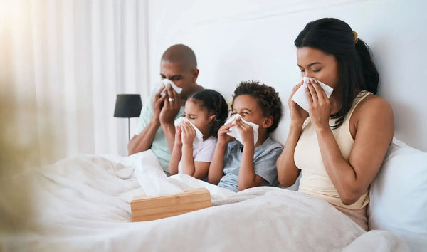 Flu Season