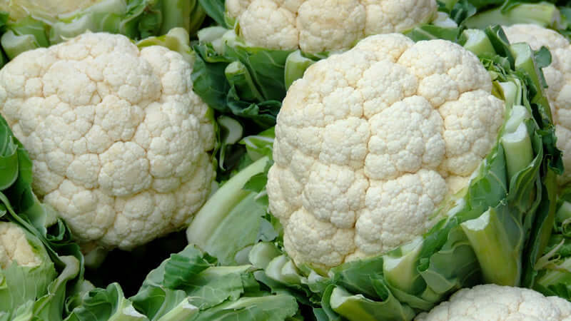 Fresh cauliflower heads surrounded by green leaves, perfect for healthy dishes and recipes.