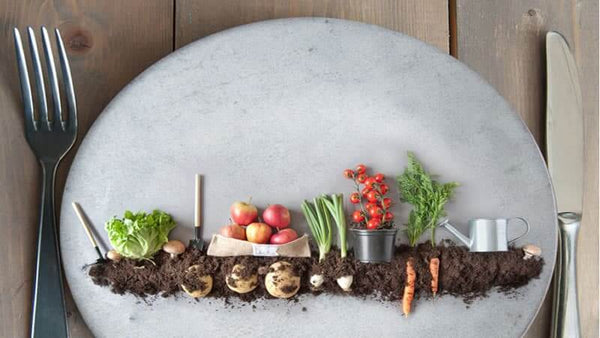 Suelo y alimentos deficientes en nutrientes