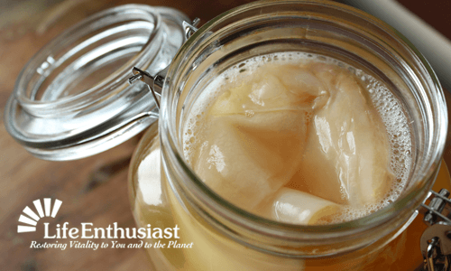 Kombucha Explained: a close-up of kombucha in a glass jar with a lid, showcasing its fizzy texture.