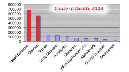Health System Statistics: Graphic showing causes of death in 2003 with cancer leading.