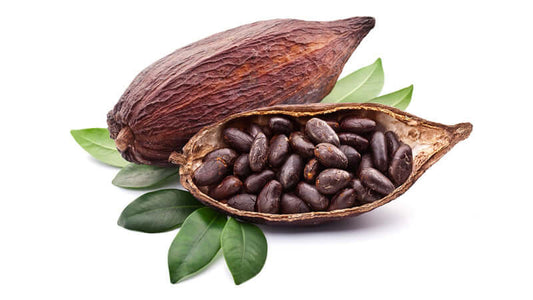 Cacao pods and beans on green leaves, showcasing the rich texture and color of cacao.