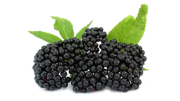 Elderberry