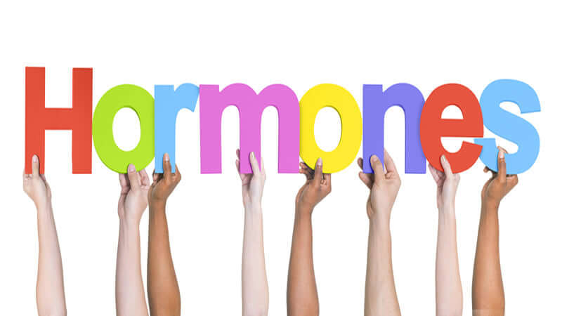 Stress and Hormones