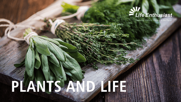 Podcast 347: Plants and Life