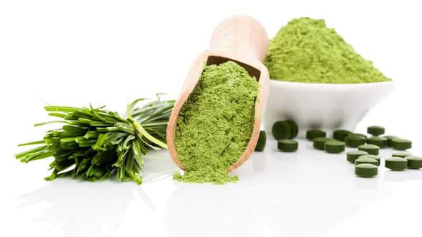 Espirulina