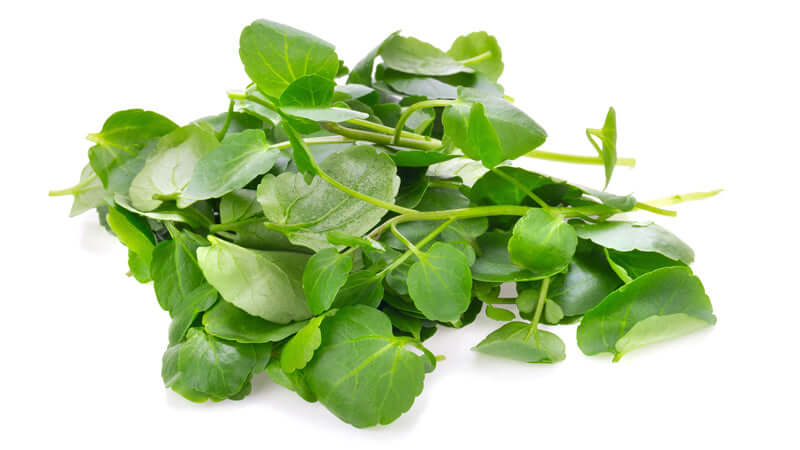 Fresh green leaves of watercress piled on a white background, showcasing its vibrant color and texture.