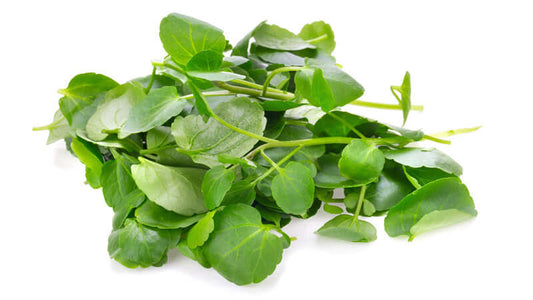 Fresh green leaves of watercress piled on a white background, showcasing its vibrant color and texture.