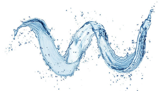 Aging, Water and Antioxidants