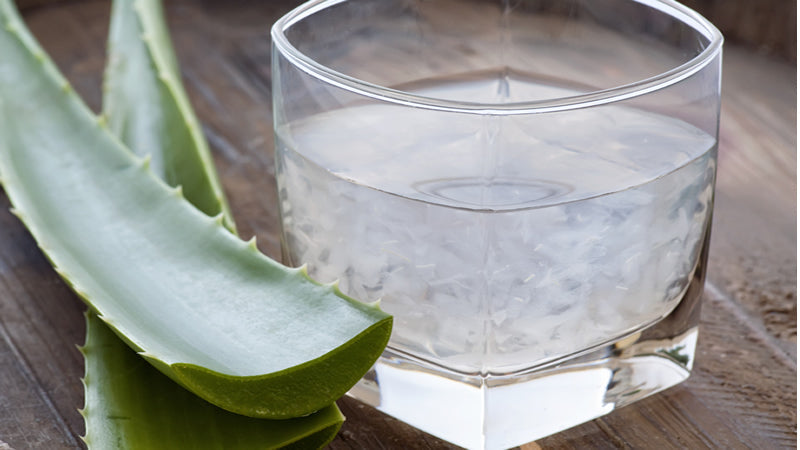 Aloe Vera Benefits