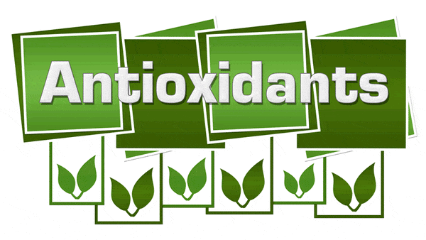 Antioxidant Basics