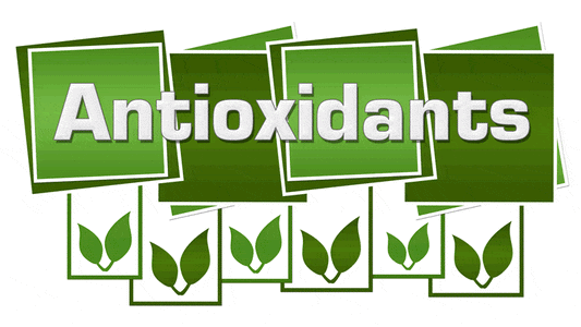 Graphic representation of Antioxidant Basics with green leaves and text highlighting antioxidants in a vibrant design.