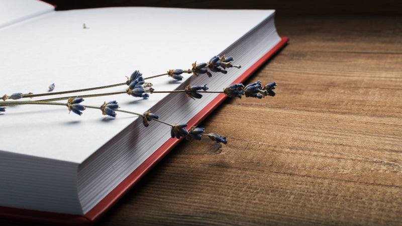 Aromatherapy Guide to Afflictions