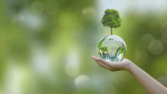 A person holding a glass globe with a small tree symbolizing ecology and environmental awareness.