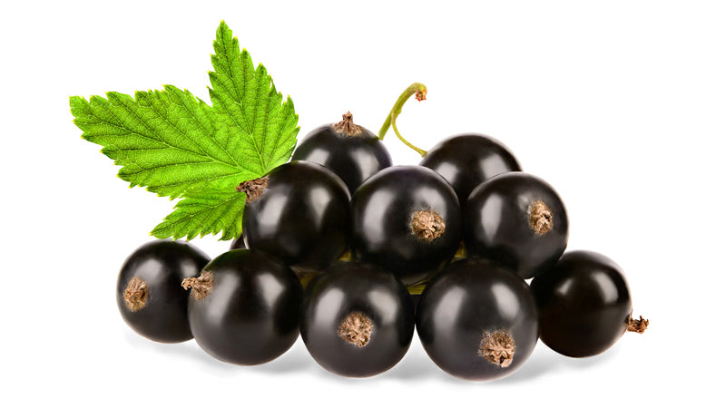 Black Currants