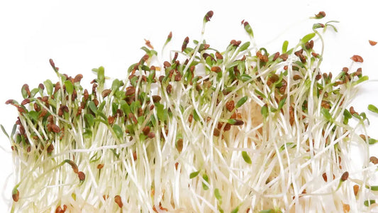 Sprouting Off at the Mouth