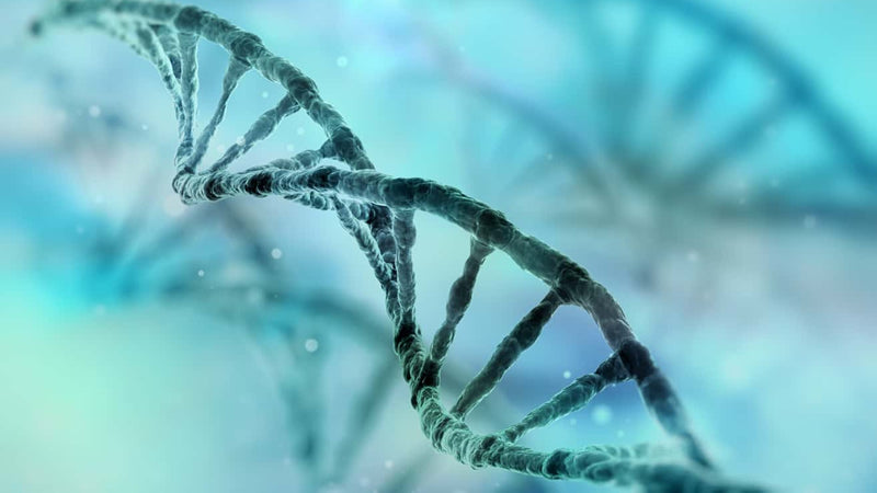 Book: Health Myths Exposed