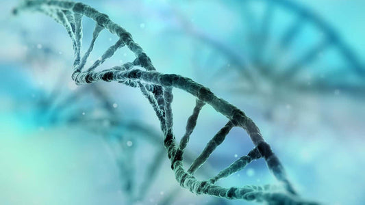 Book: Health Myths Exposed