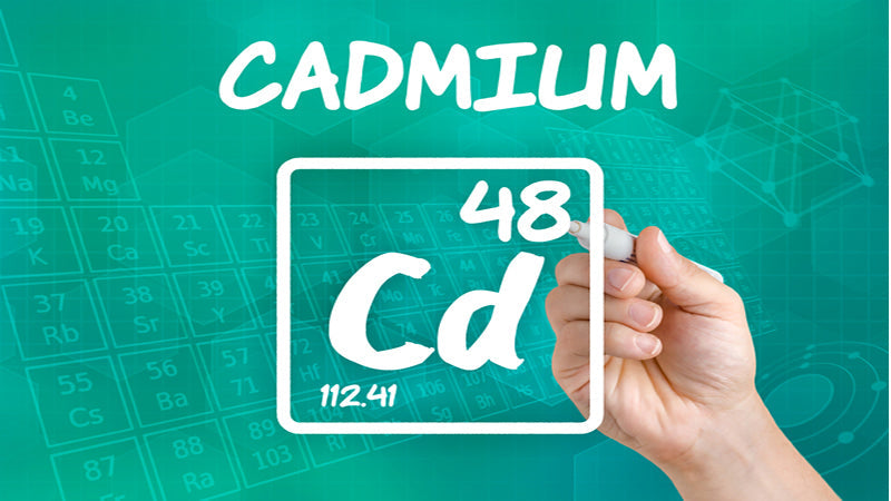 Cadmium Toxicity