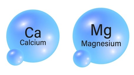 Magnesium and Calcium Dance