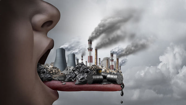 Cancer Causing Chemical Pollutants