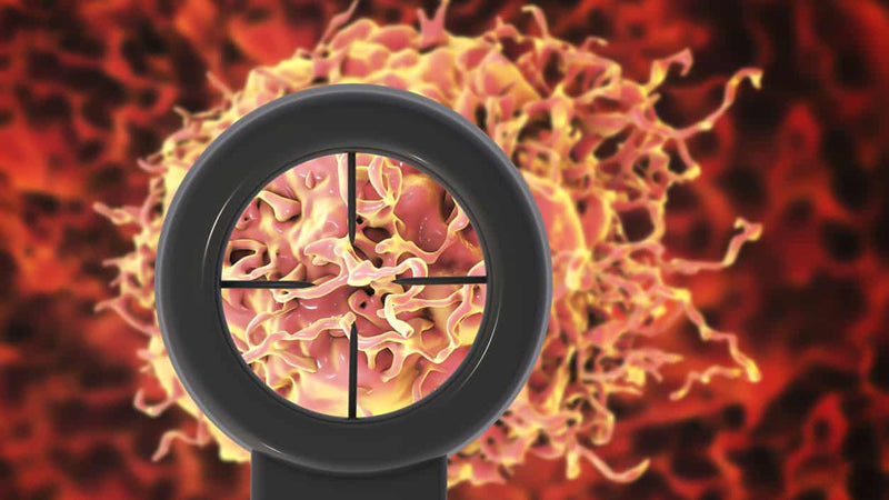 Cancer: How It Grows