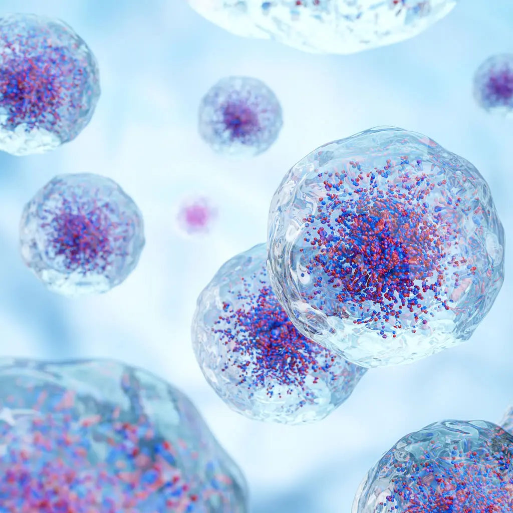 Cell Psychology and Beyond