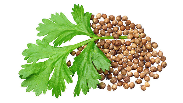 Cilantro Detox Recipes