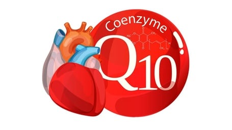 Coenzyme Q10 in Clinical Cardiology: A Long-term Study