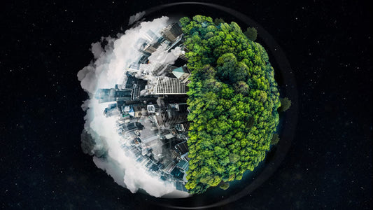 Depleted Soils and Hollow Foods