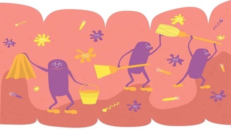 Intestinal Cleansing