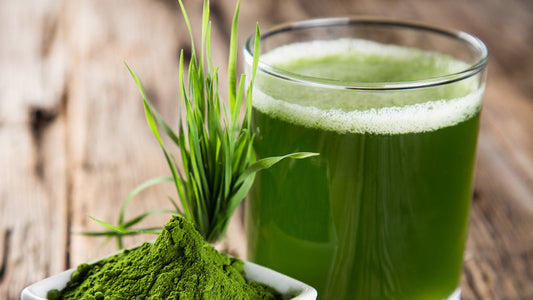 E3 Live Algae Reviews