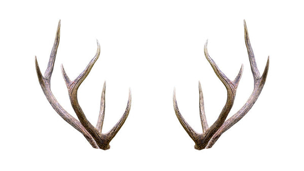 Elk Antler Velvet Rheumatoid Arthritis Study