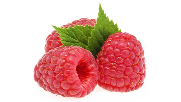 Ellagitannins Explained