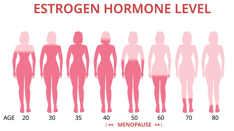 Estrogen Or Progesterone: Which One is for You?