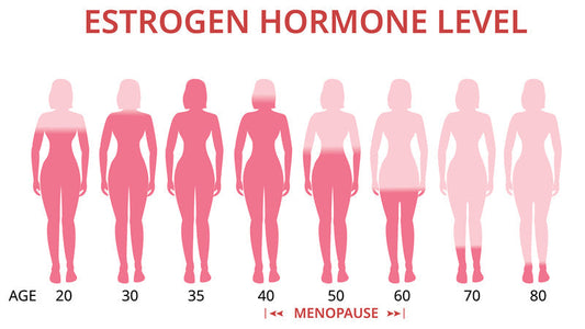 Estrogen Or Progesterone: Which One is for You?