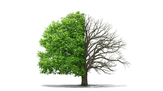 Experts Speak on Chemotherapy Poisons