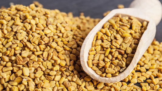 Fenugreek
