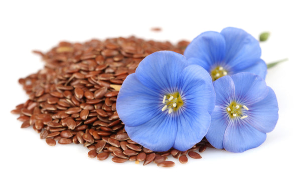 Flax: Breakthrough Cancer Treatment