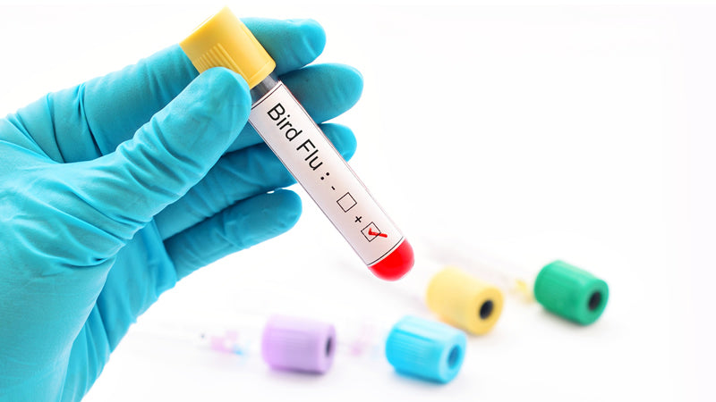 Flu Protocol with Magnesium and Vitamin C